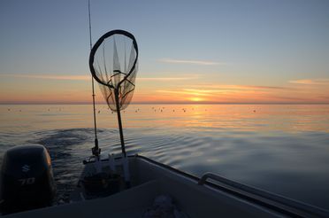 Fiskestang og hov i båt på hav