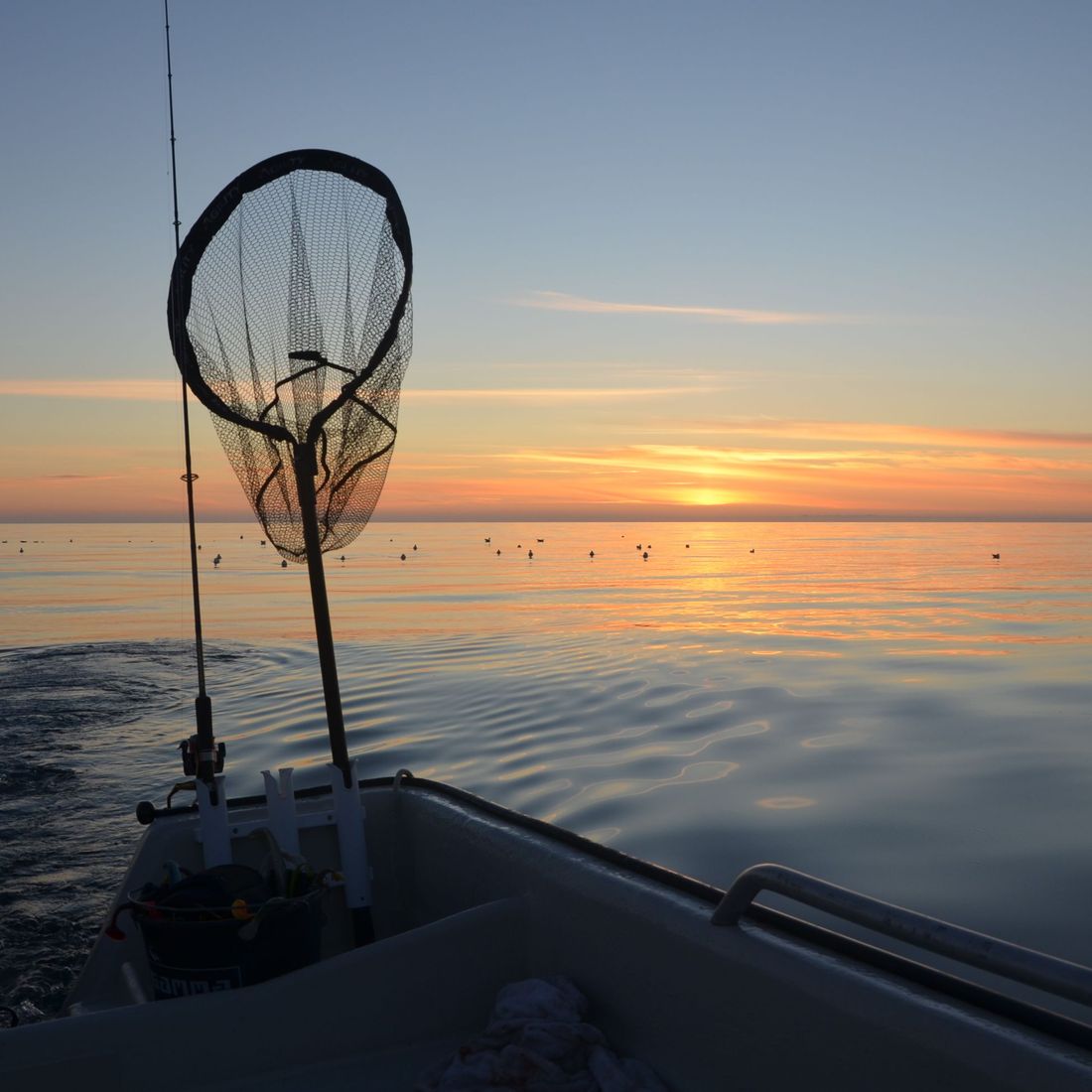 Fiskestang og hov i båt på hav