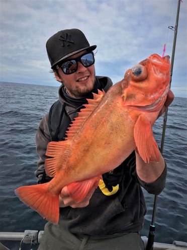 Mann med solbriller og caps holder frem rød fisk