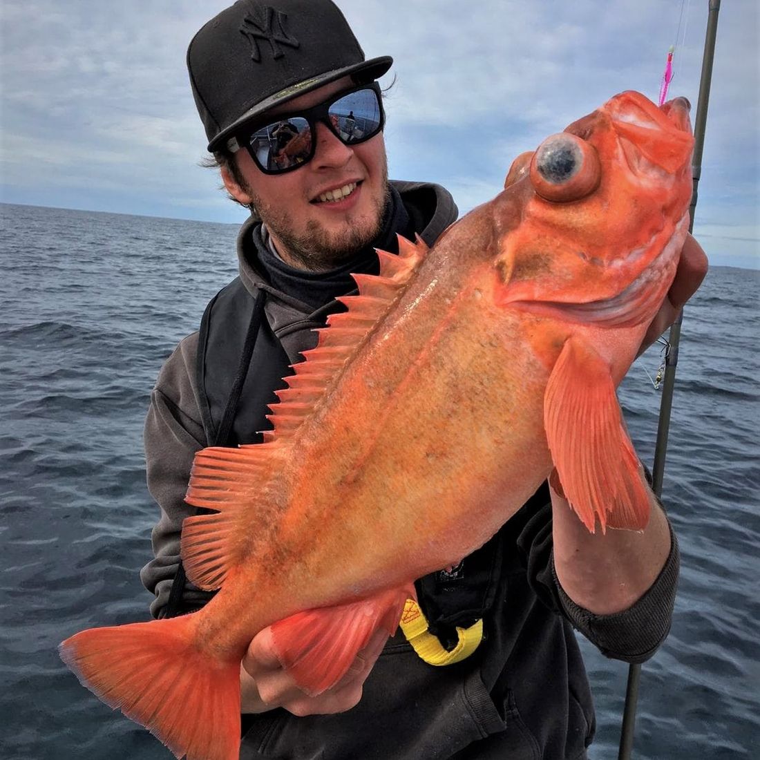 Mann med solbriller og caps holder frem rød fisk