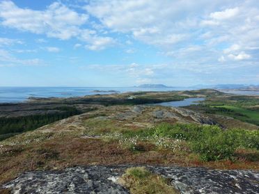 Utsikt over havet