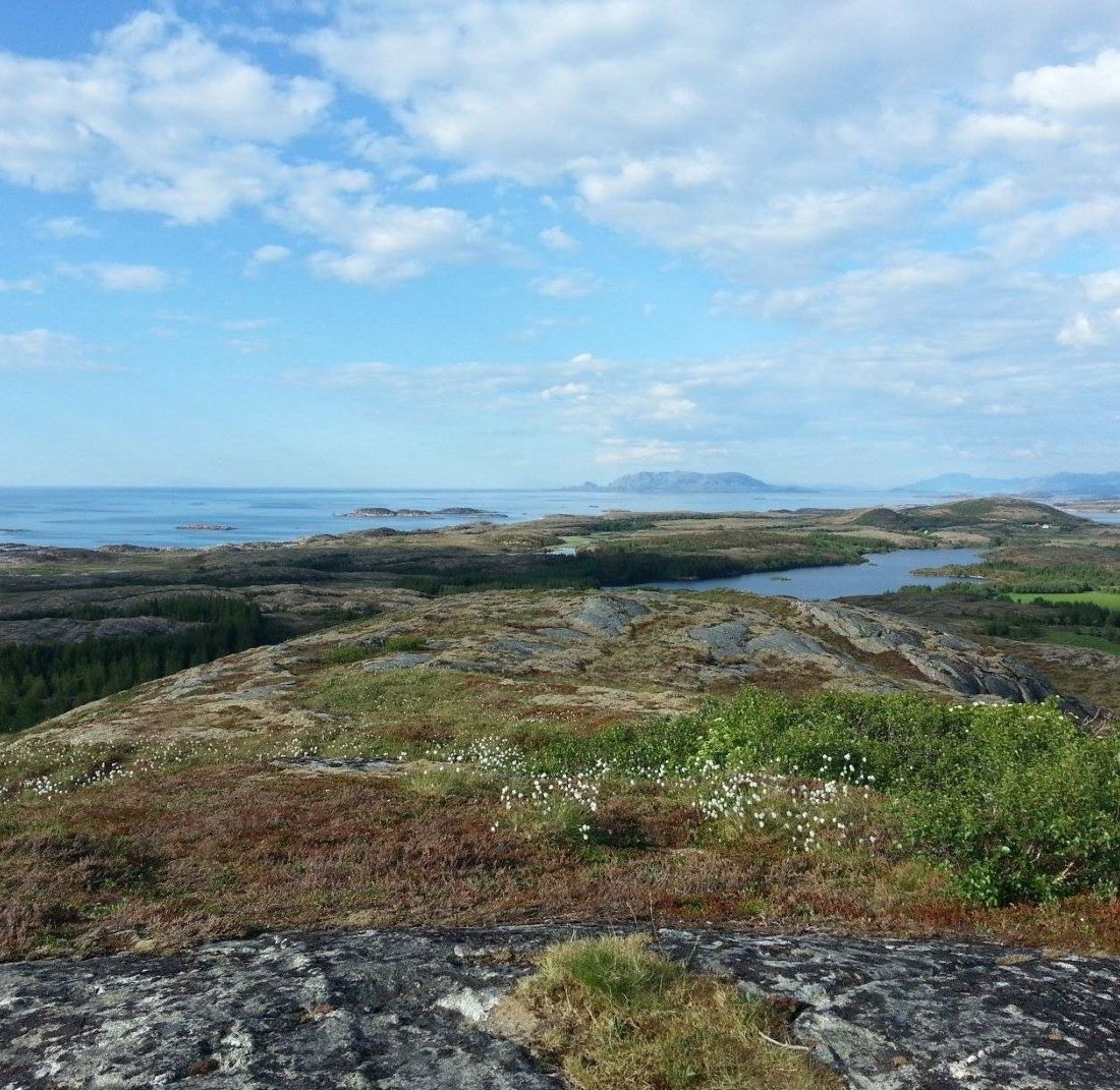 Utsikt over havet